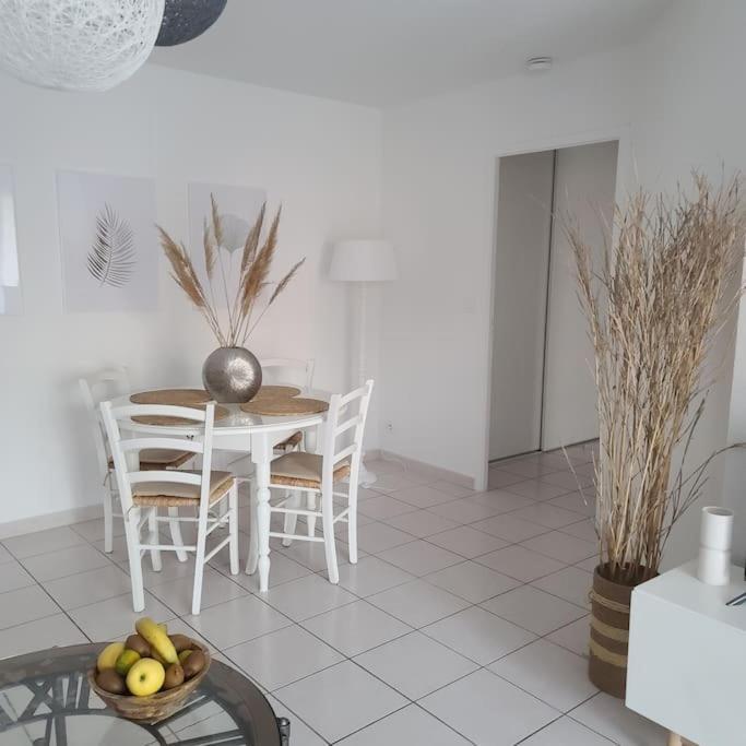 Appartement 63 m2, tout confort, climatisé. Saint-Cyprien  Exterior foto